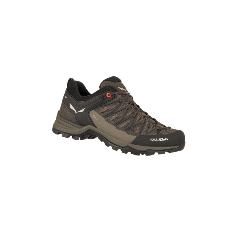 SALEWA MTN TRAINER LITE GTX CHAUSSURE DE RANDONNÉE BASSE FEMME 3 SALEWA MTN TRAINER LITE GTX CHAUSSURE DE RANDONNÉE BASSE FEMME